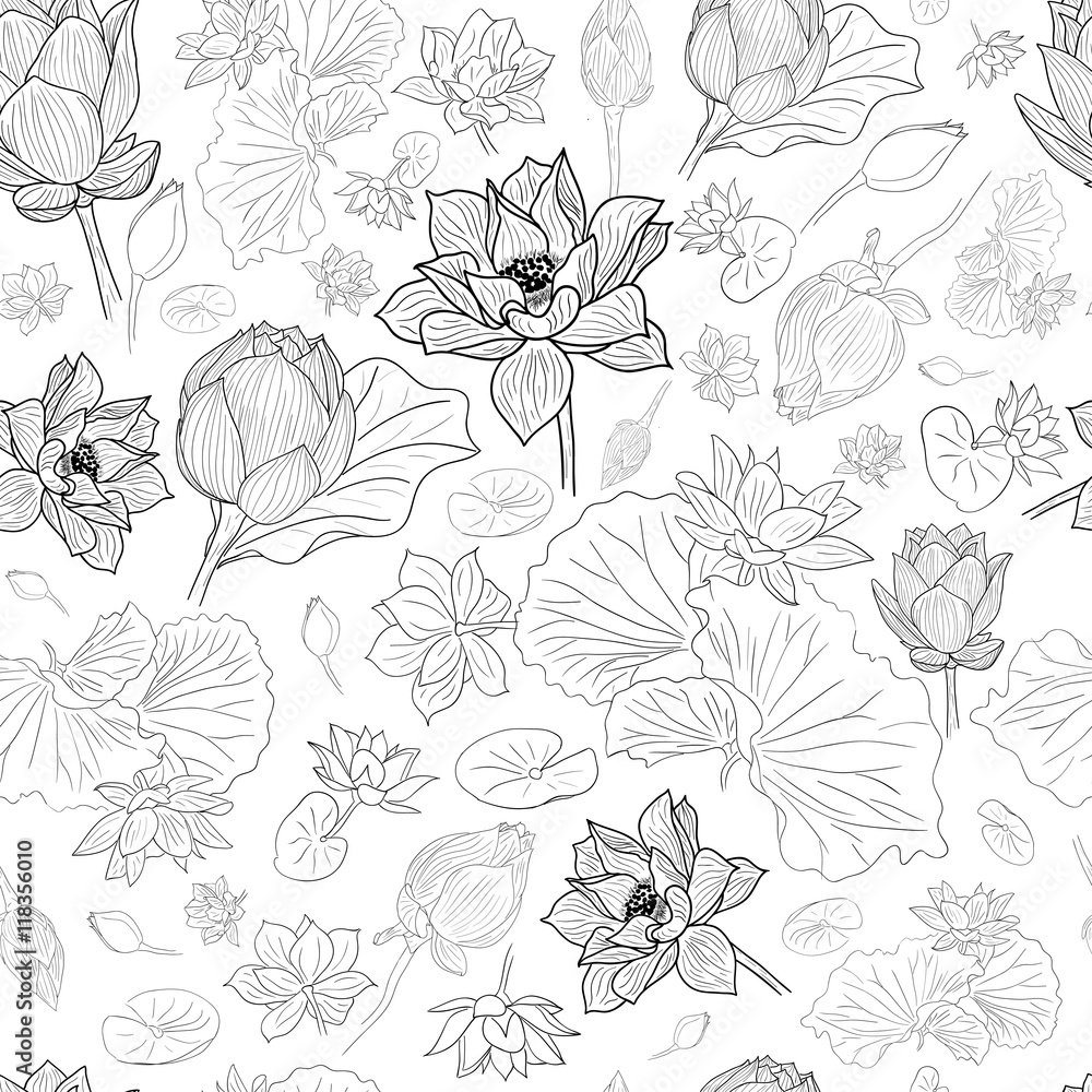 Black line lotus flowers pattern background on white Black line lotus flowers pattern background on white