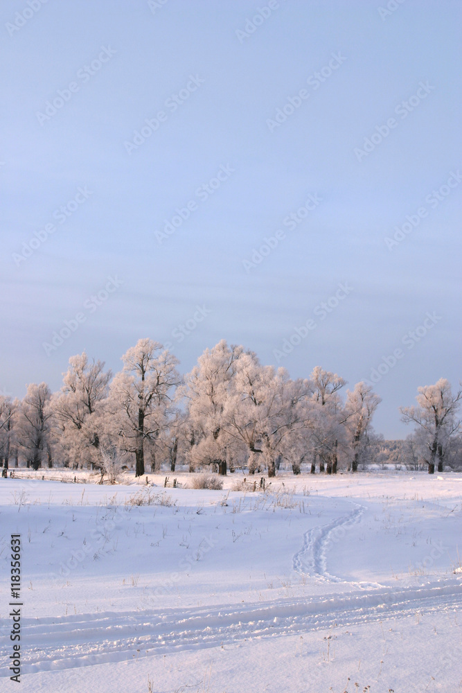 winter day winter day