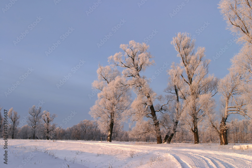 Obraz premium winter day