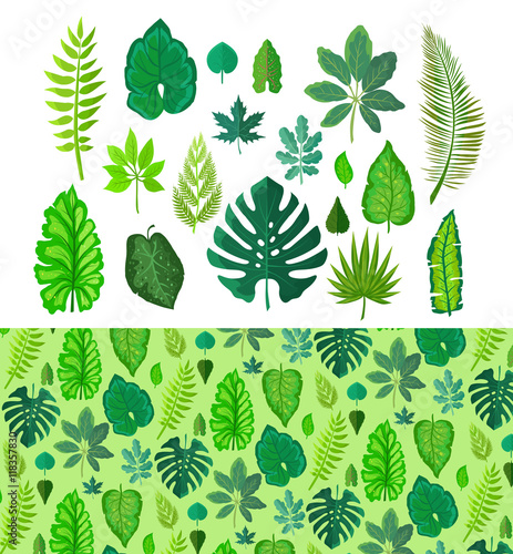 Set of Tropical Leaves. Collection Green Leafs.
