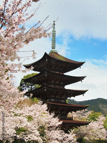 ruriko-ji 2
