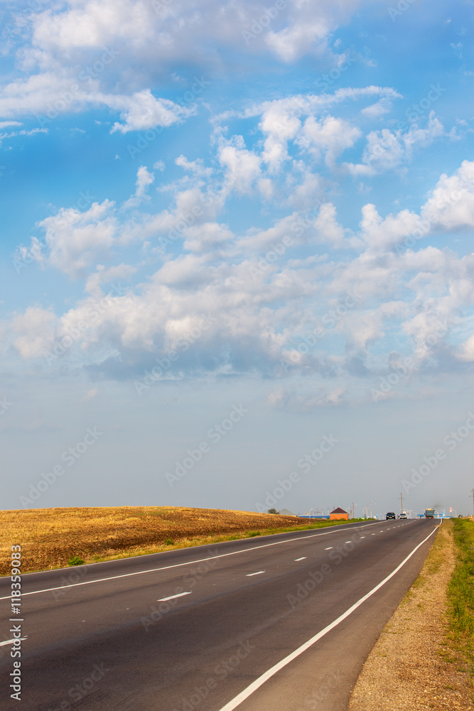 Fototapeta premium Empty asphalt road between flower meadows in the countryside.