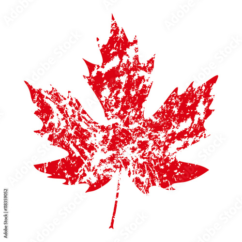 illustration of vector maple leaf in grunge style