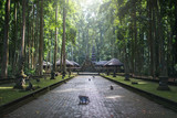 Sangeh monkey forest,temple on Bali island,Indonesia