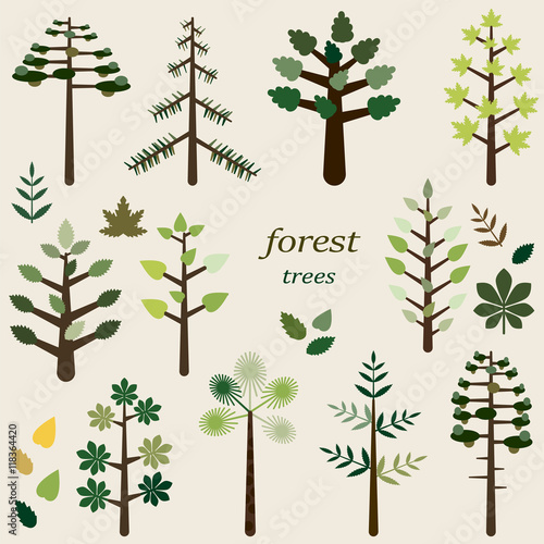 set of icons of coniferous and deciduous trees with green foliage