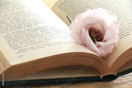 Book and flower photo