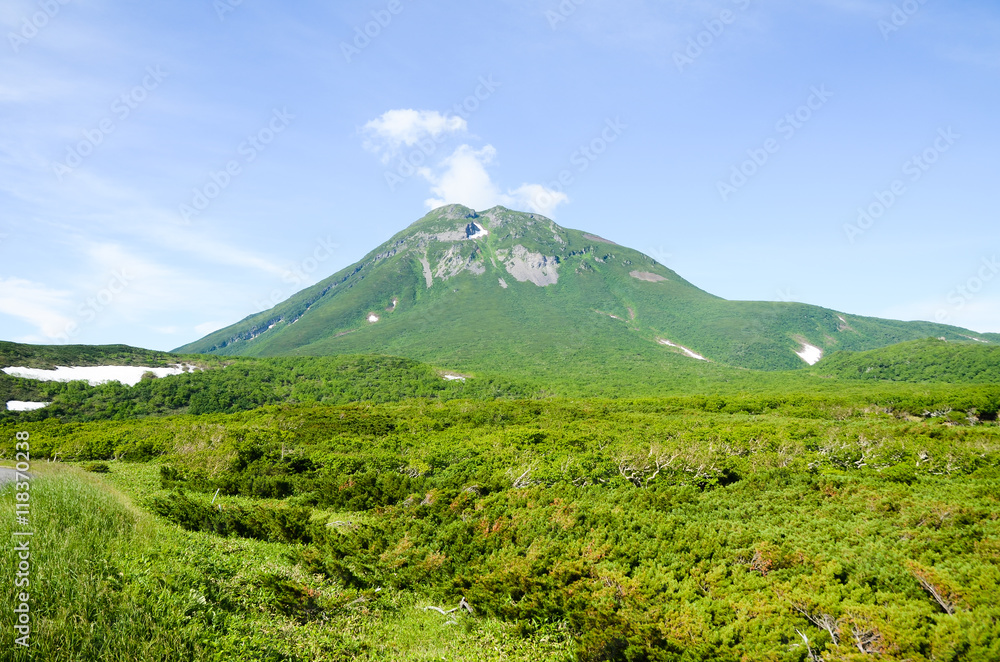 Fototapeta premium 夏の知床峠（北海道）