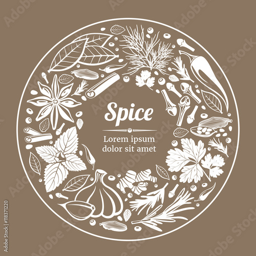 Vector background with herbs and spices