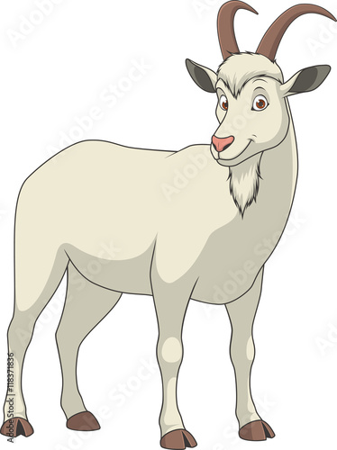 Adult funny goat