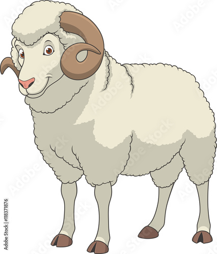 Adult funny ram