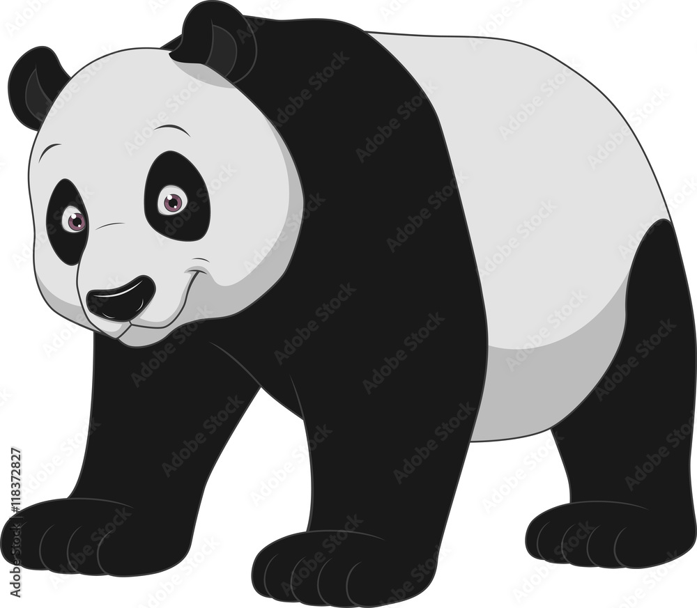 Fototapeta premium Dorosła zabawna panda