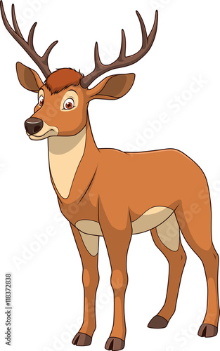 Adult funny deer