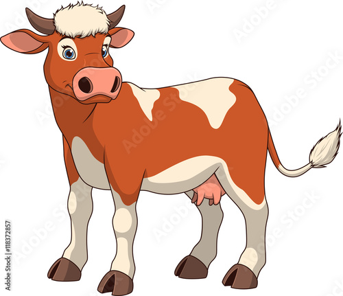 Adult funny cow