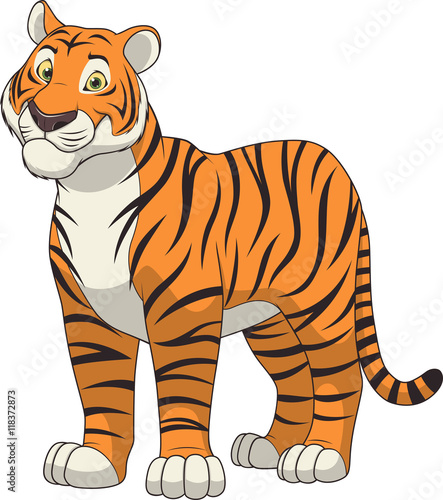 Fototapeta Naklejka Na Ścianę i Meble -  Adult funny tiger