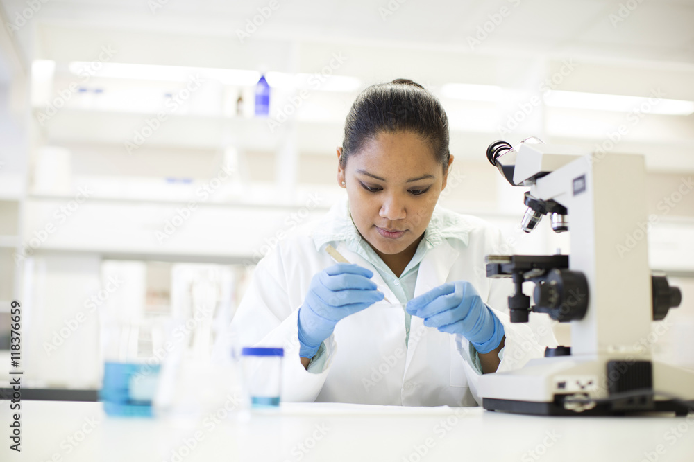Mixed race scientist working in laboratory Mixed race scientist working in laboratory