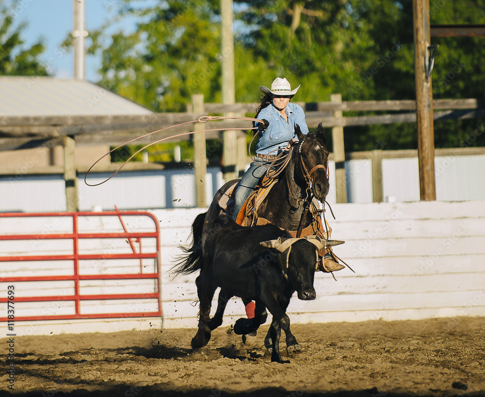 Caucasian cowgirl on horse throwing lasso in rodeo on ranch Caucasian cowgirl on horse throwing lasso in rodeo on ranch