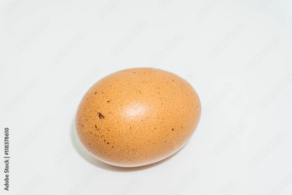 egg egg