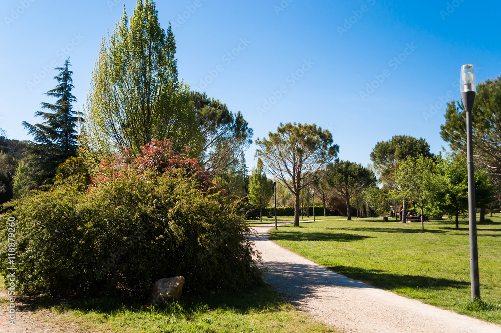 Naklejka premium Aire de promenade et plan d'eau.