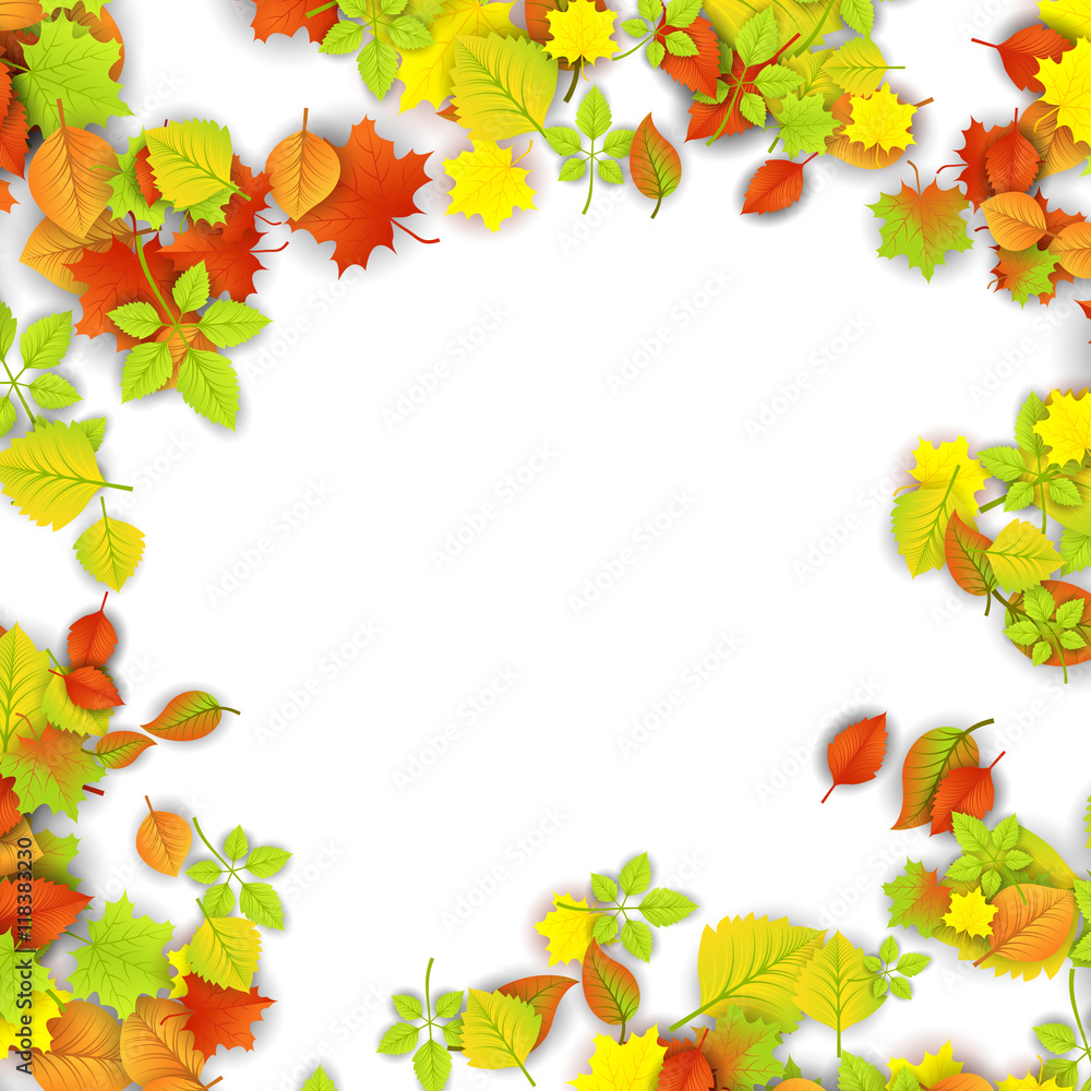 Autumn Border Autumn Border