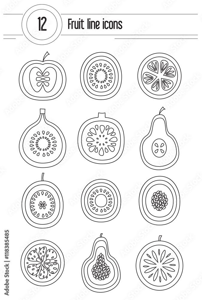 Modern line vector collection of fruits