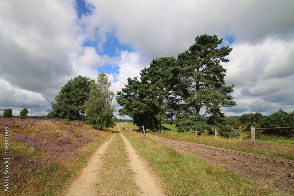Fototapeta premium Der perfekte Wanderweg.