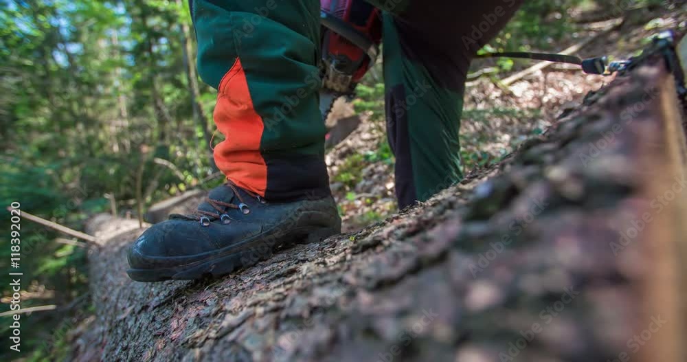 A logger is walking on a fallen tree with a chainsaw in his hands. He is about to cut some branches on a tree trunk. Wide-angle shot.
A logger is walking on a fallen tree with a chainsaw in his hands. He is about to cut some branches on a tree trunk. Wide-angle shot.