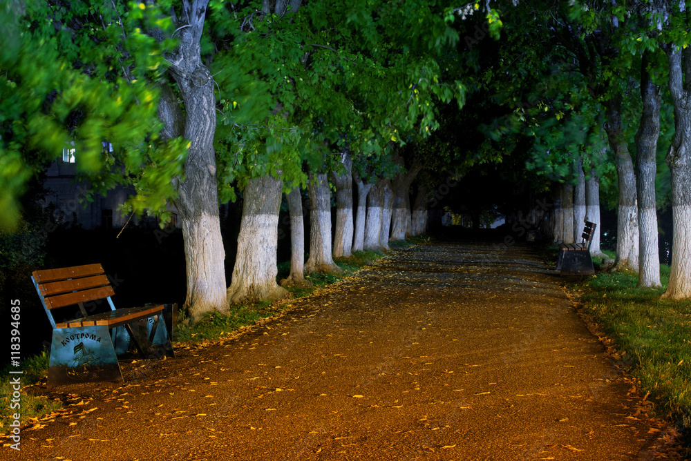 Silent and mysterious path in park with lonely bench. Silent and mysterious path in park with lonely bench.