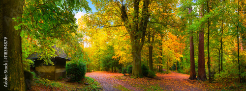 Malerisch bunter Herbst in einem schönen Naturpark bei weichem Licht