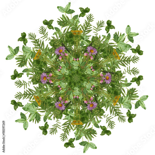 Kaleidoscope from wild flowers and grasses.