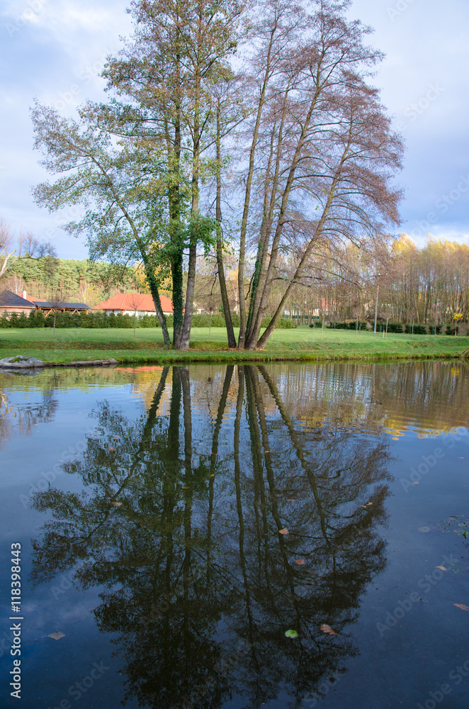 Obraz premium reflection in water