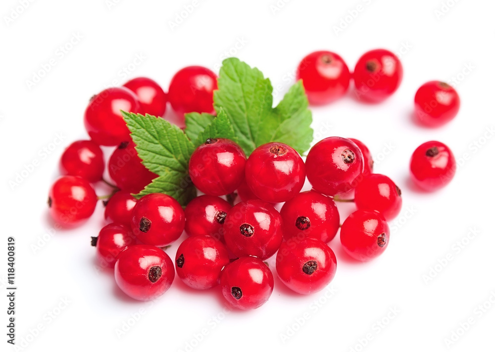 Currant close up isolated on white Currant close up isolated on white