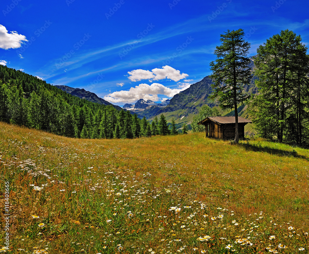 meadow with old alpien house iwith view on Granta Parey