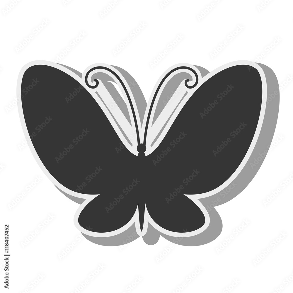 butterfly animal insect animal wings fly spring artistic vector illustration isolated front butterfly animal insect animal wings fly spring artistic vector illustration isolated front