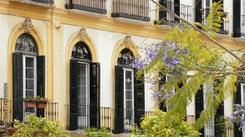 Jacaranda flower with open balconies in building of old town of Malaga, Spain photo