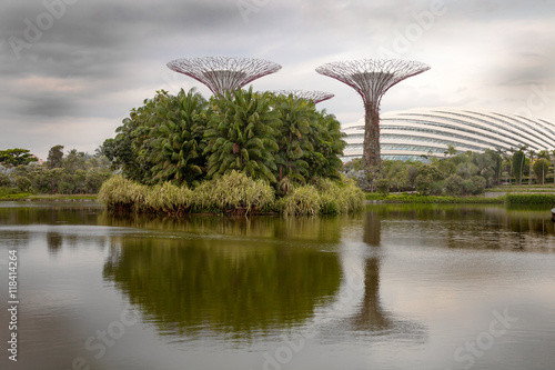 Panoramic views of the botanical gardens in Singapore