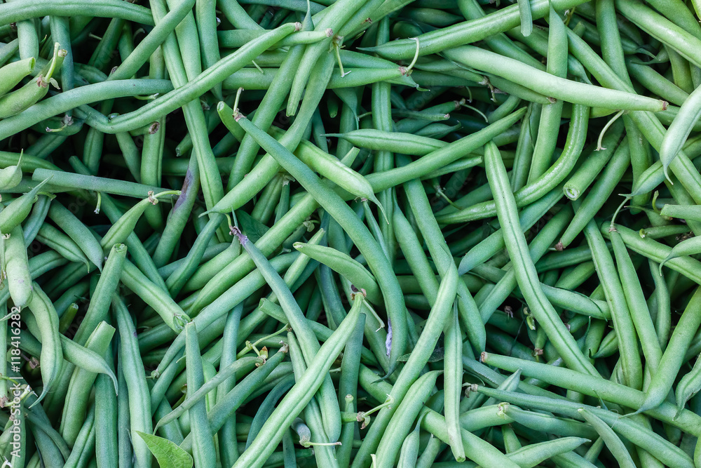 Closeup detail of organic green beans at an outdoor market in Seattle. Closeup detail of organic green beans at an outdoor market in Seattle.