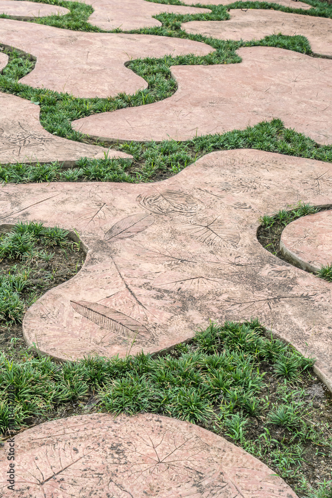Concrete Pathway in garden