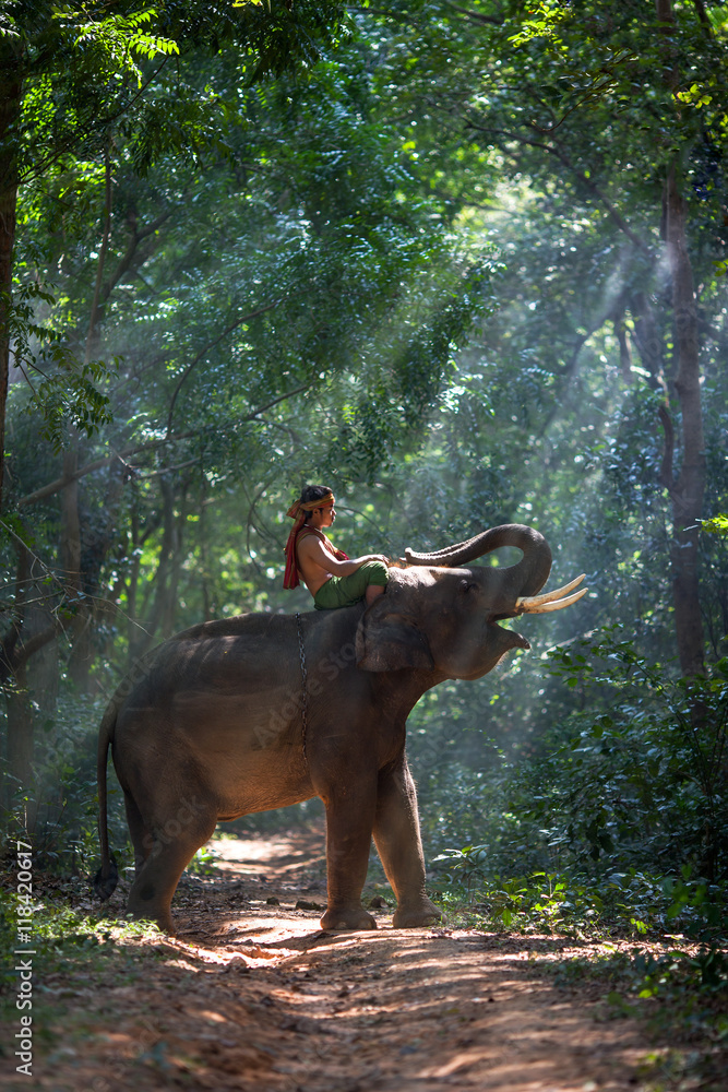 Obraz premium Asia person riding an elephant in the lights
