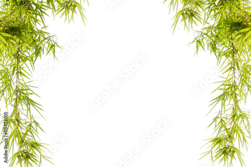 Bamboo leaves isolated on white. © suthisak