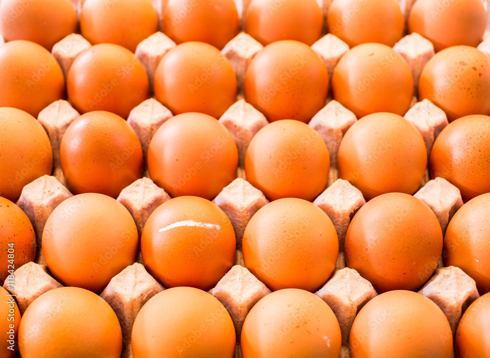 egg in tray egg in tray