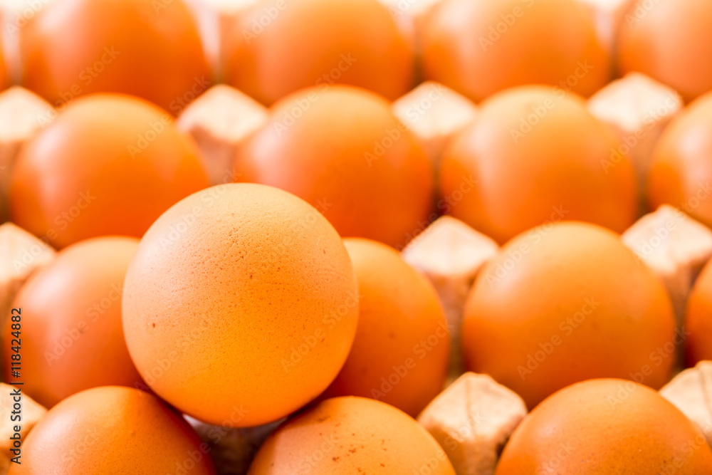 egg in tray egg in tray