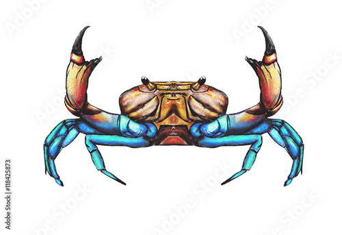 Crab-drawing