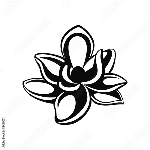 Magnolia illustration vector