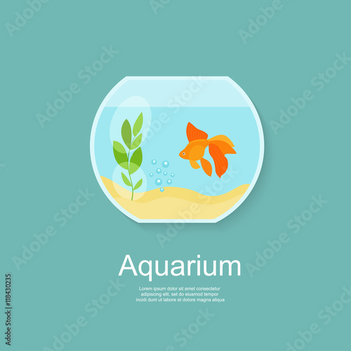 Goldfish in aquarium isolated. Flat vector illustration