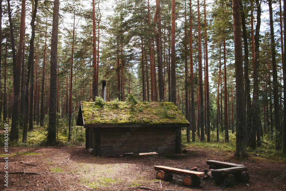 Wooden house with a green roof in the forest Wooden house with a green roof in the forest