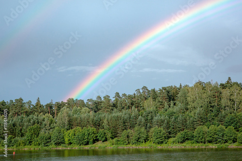 Rainbow over green trees
