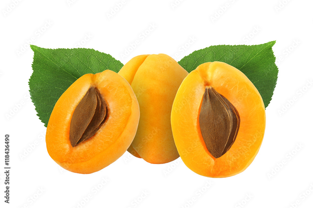 whole and half apricot with stone and leaf isolated on white bac whole and half apricot with stone and leaf isolated on white bac
