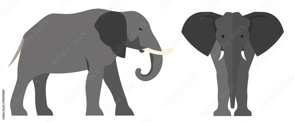 Obraz premium Ilustracja płaski słoń. Wektor