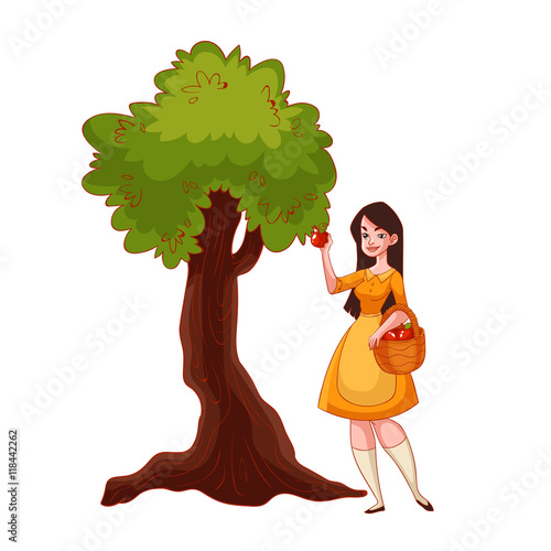 Young beautiful woman picking apples in the garden, cartoon style vector illustration isolated on white background. Apple harvesting in the fall time, countryside gardening, harvest time concept