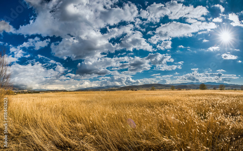 Campos de cereal